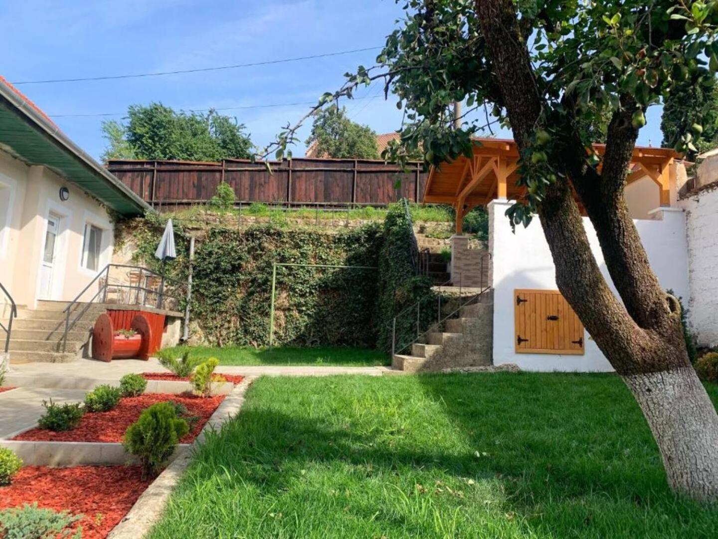 Schei Residence Braşov Buitenkant foto